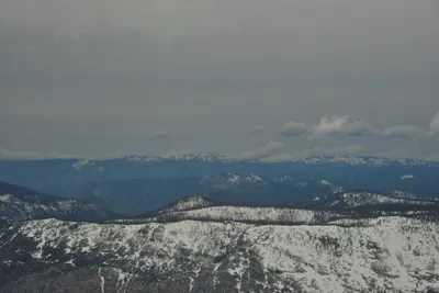 DSC_6706 (Large).JPG